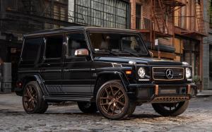 Mercedes-AMG G65 Final Edition
